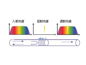  基本知识